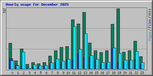 Hourly usage for December 2025