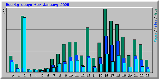 Hourly usage for January 2026